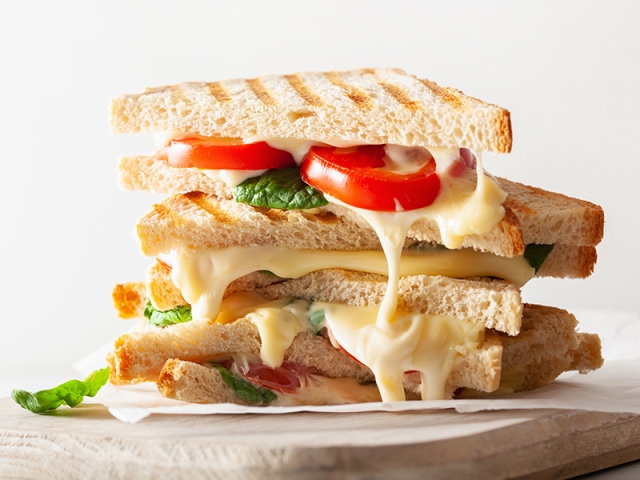 TOST ÇEŞITLERI